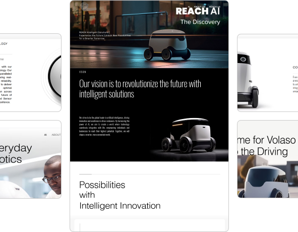 Project Reach AI visualization